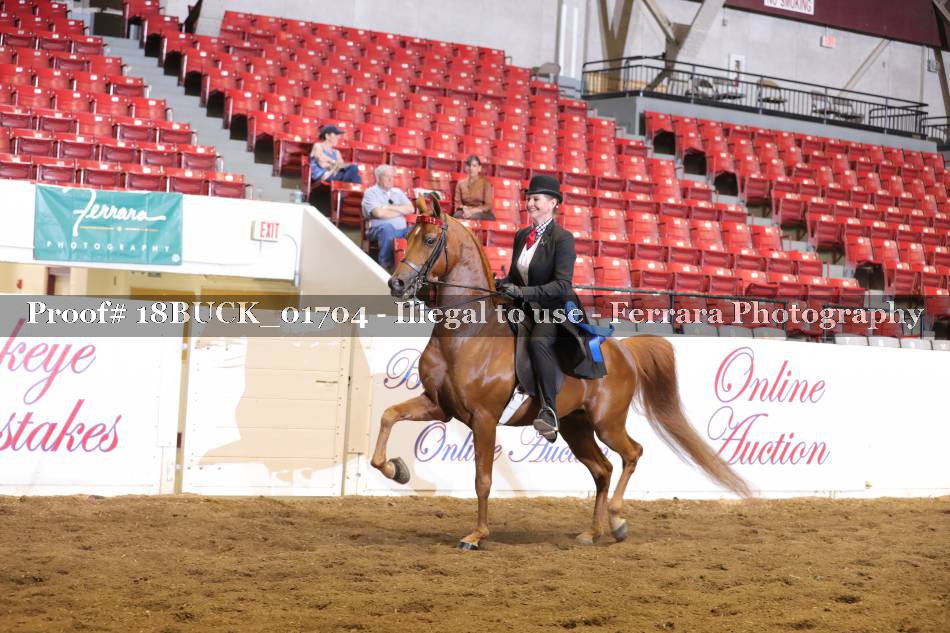 Proof 18BUCK_01704