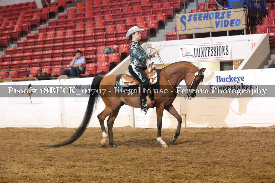 Proof 18BUCK_01707