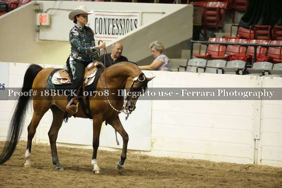 Proof 18BUCK_01708