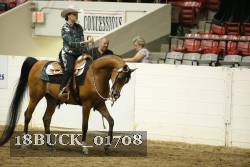 18BUCK_01708 proof