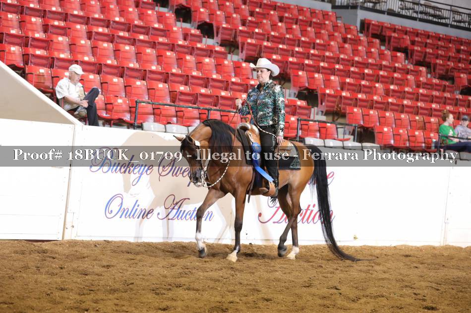 Proof 18BUCK_01709