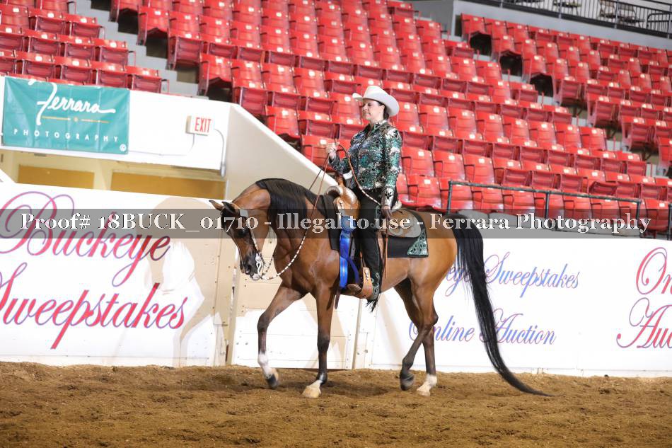 Proof 18BUCK_01710