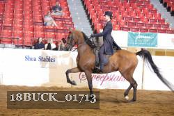 18BUCK_01713 proof