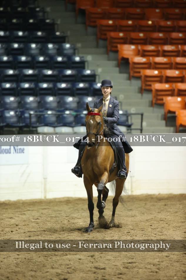 Proof 18BUCK_01714