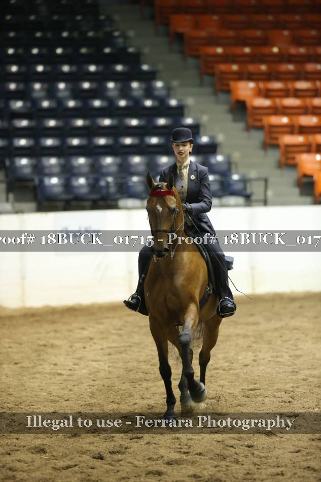 Proof 18BUCK_01715