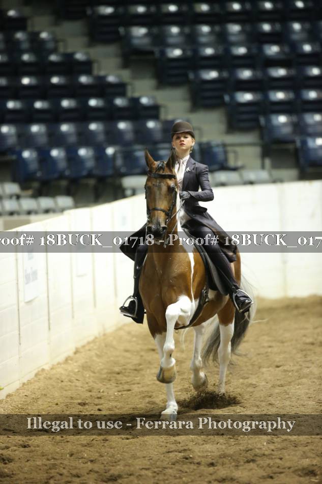 Proof 18BUCK_01718