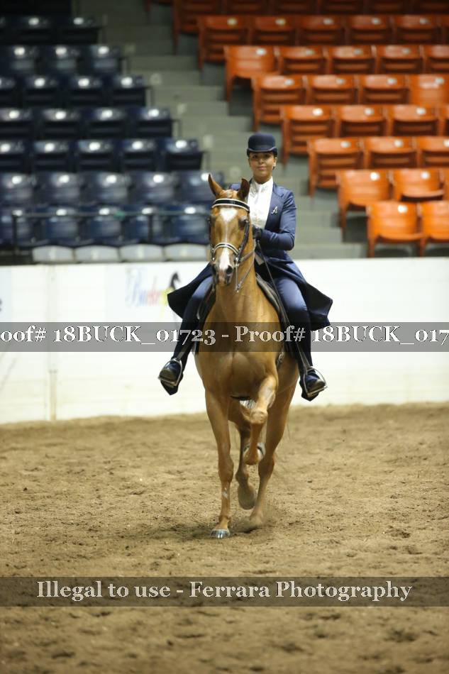 Proof 18BUCK_01723