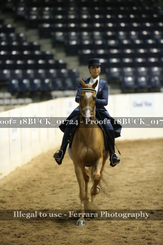 Proof 18BUCK_01724