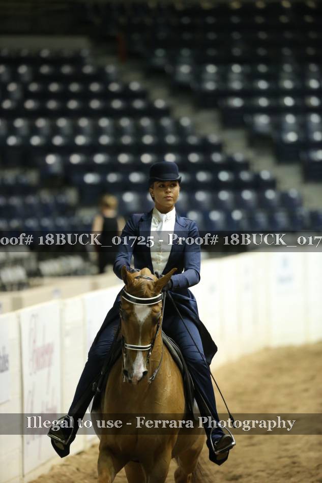 Proof 18BUCK_01725