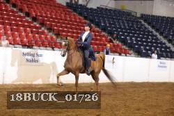 18BUCK_01726 proof