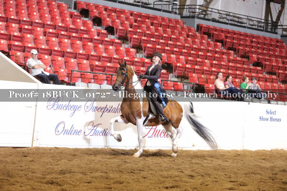 Proof 18BUCK_01727