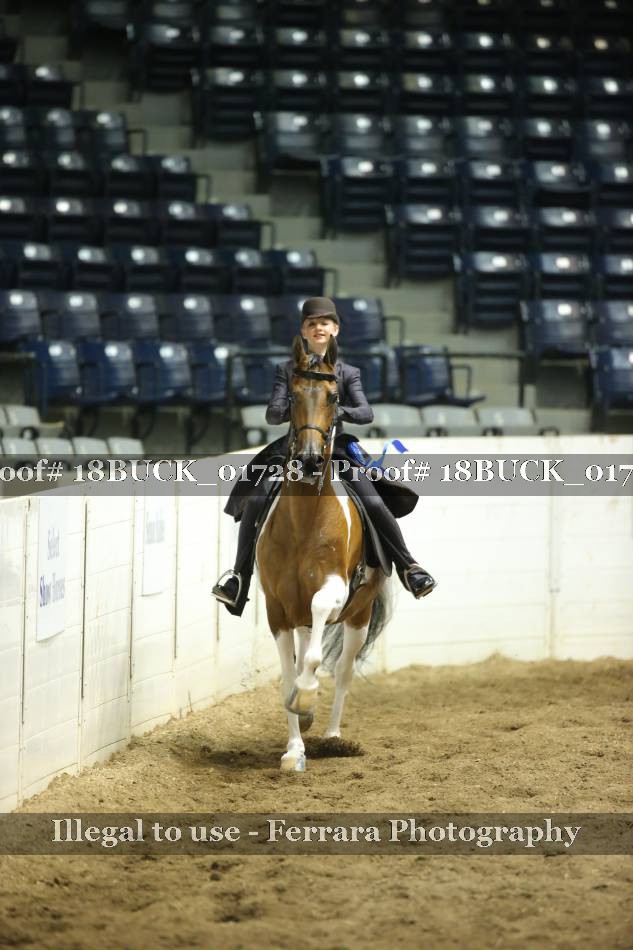 Proof 18BUCK_01728