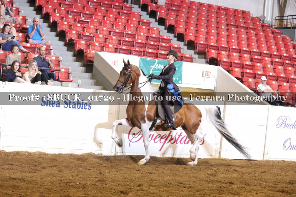 Proof 18BUCK_01729