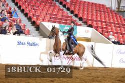 18BUCK_01729 proof