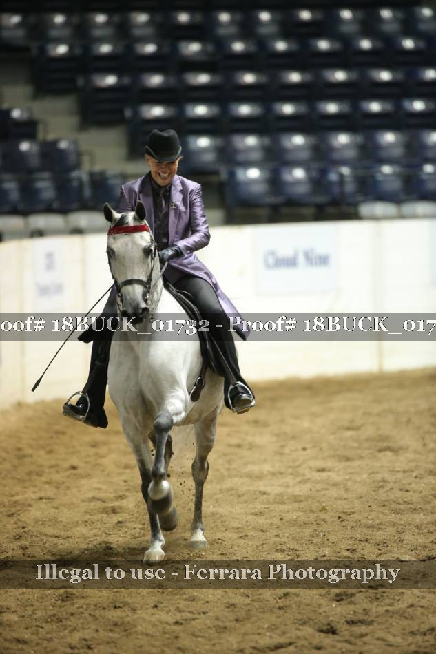 Proof 18BUCK_01732