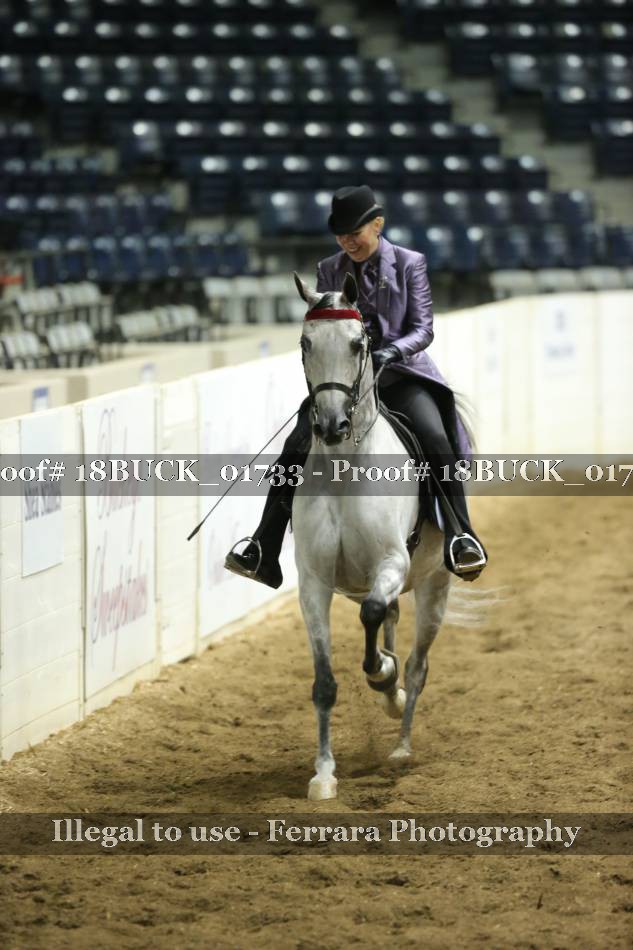 Proof 18BUCK_01733