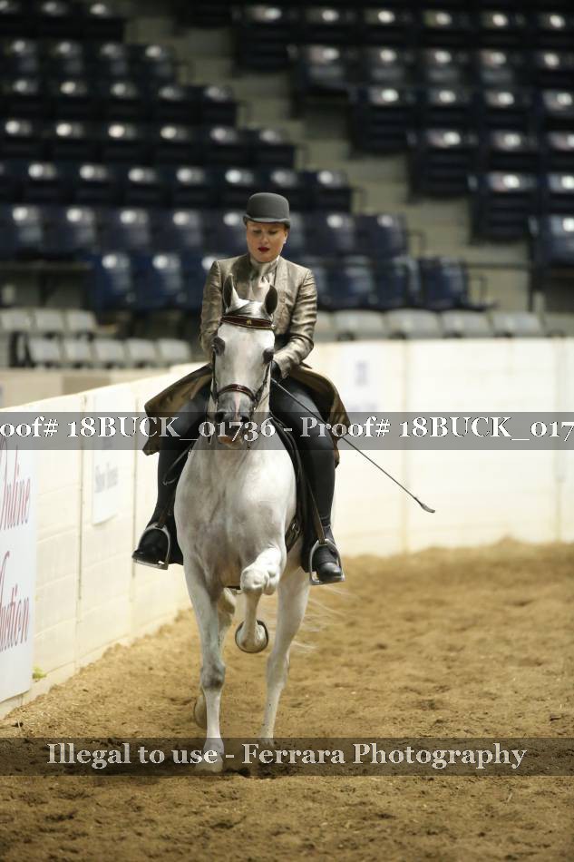 Proof 18BUCK_01736