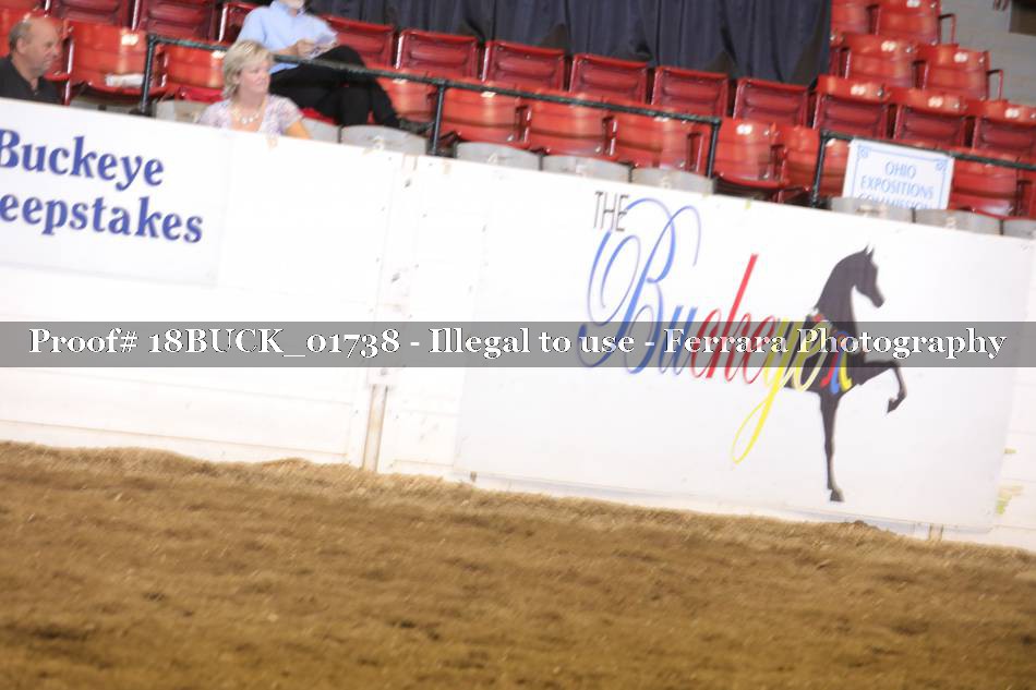 Proof 18BUCK_01738