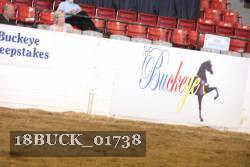 18BUCK_01738 proof