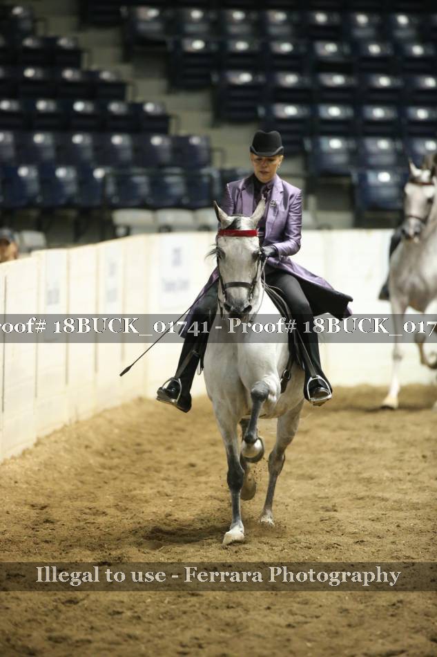 Proof 18BUCK_01741