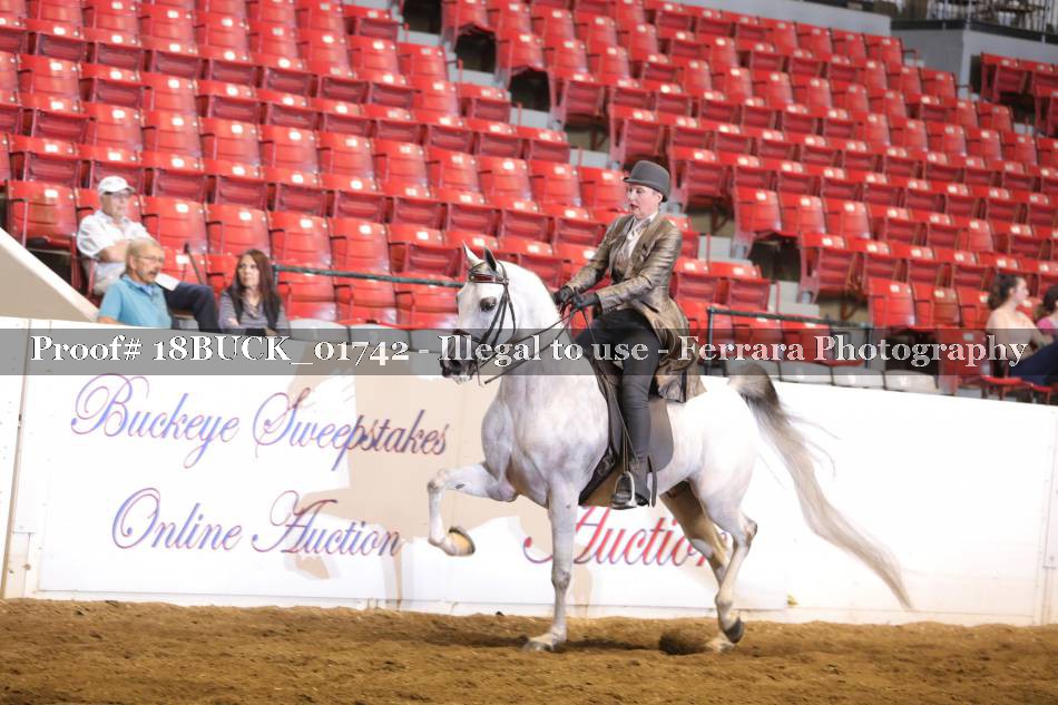 Proof 18BUCK_01742
