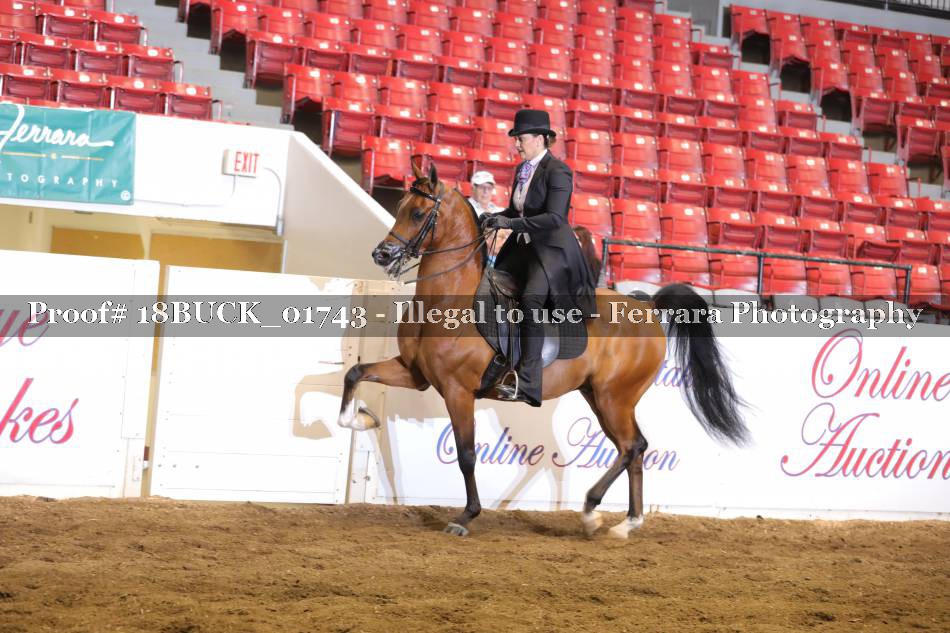 Proof 18BUCK_01743