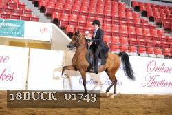 18BUCK_01743 proof