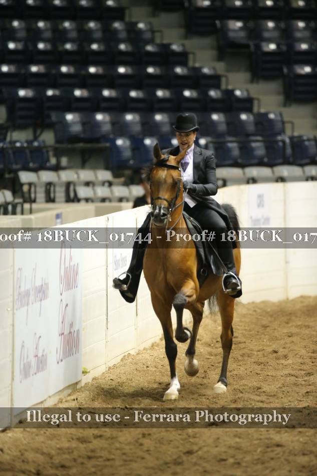Proof 18BUCK_01744