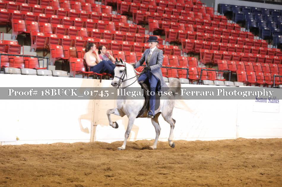 Proof 18BUCK_01745