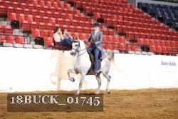 18BUCK_01745 proof