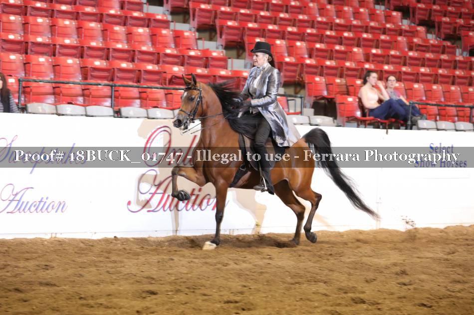 Proof 18BUCK_01747