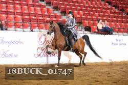 18BUCK_01747 proof
