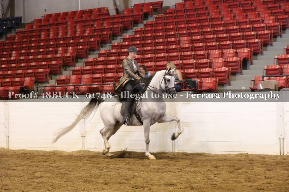 Proof 18BUCK_01748