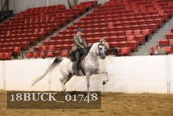 18BUCK_01748 proof