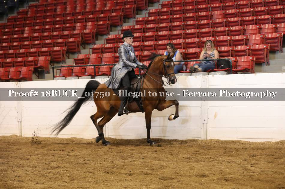 Proof 18BUCK_01750