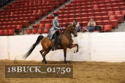 18BUCK_01750 proof