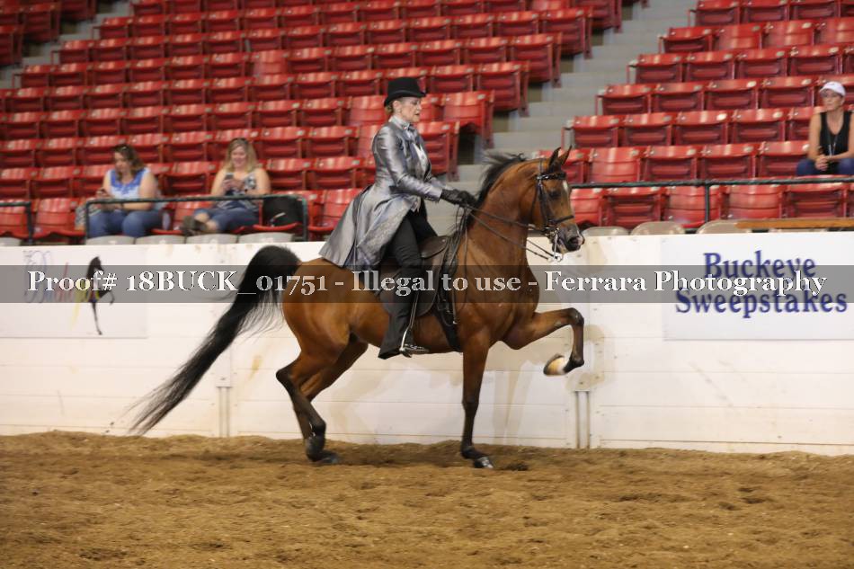 Proof 18BUCK_01751