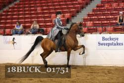 18BUCK_01751 proof