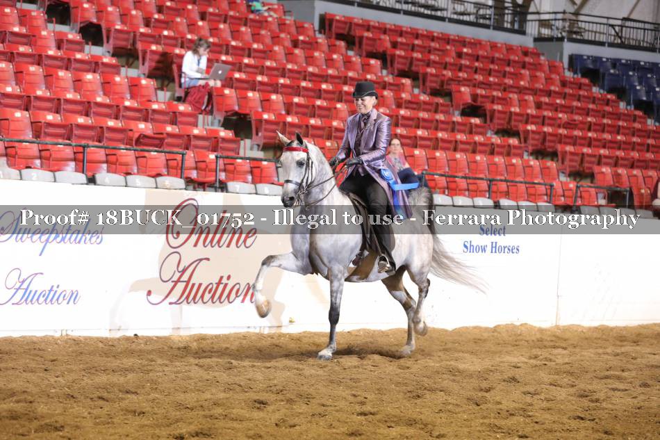 Proof 18BUCK_01752