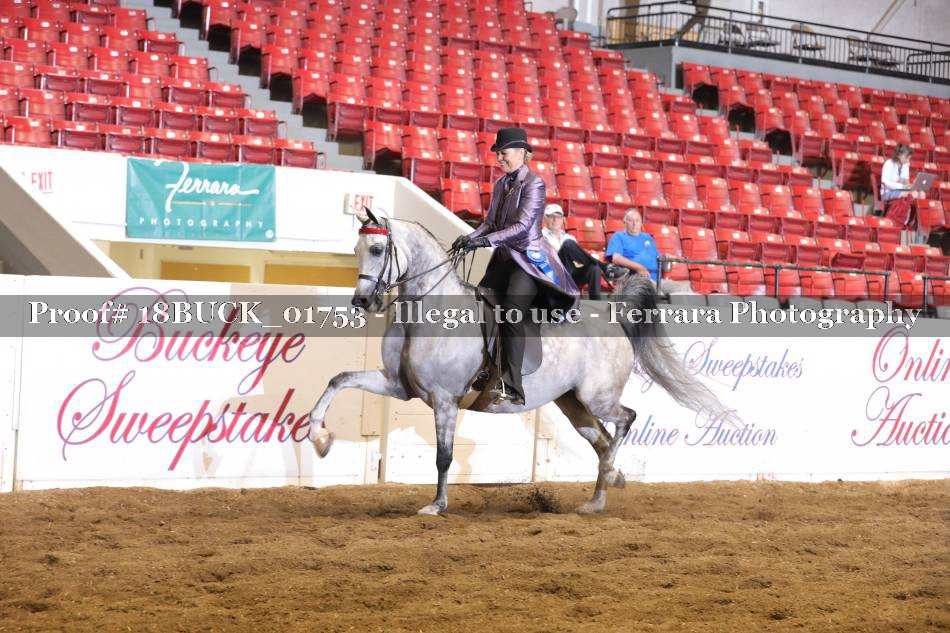 Proof 18BUCK_01753