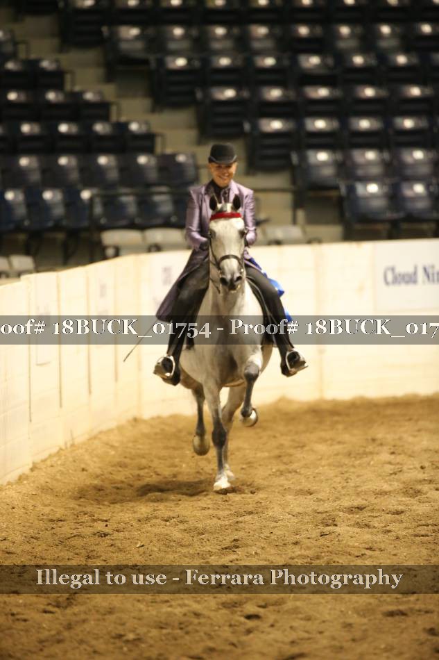 Proof 18BUCK_01754