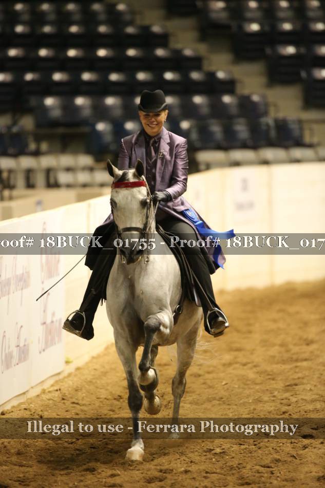 Proof 18BUCK_01755