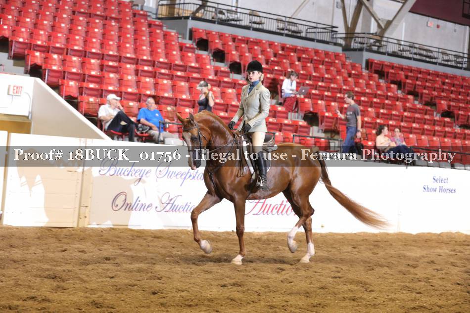 Proof 18BUCK_01756