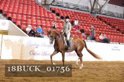 18BUCK_01756 proof