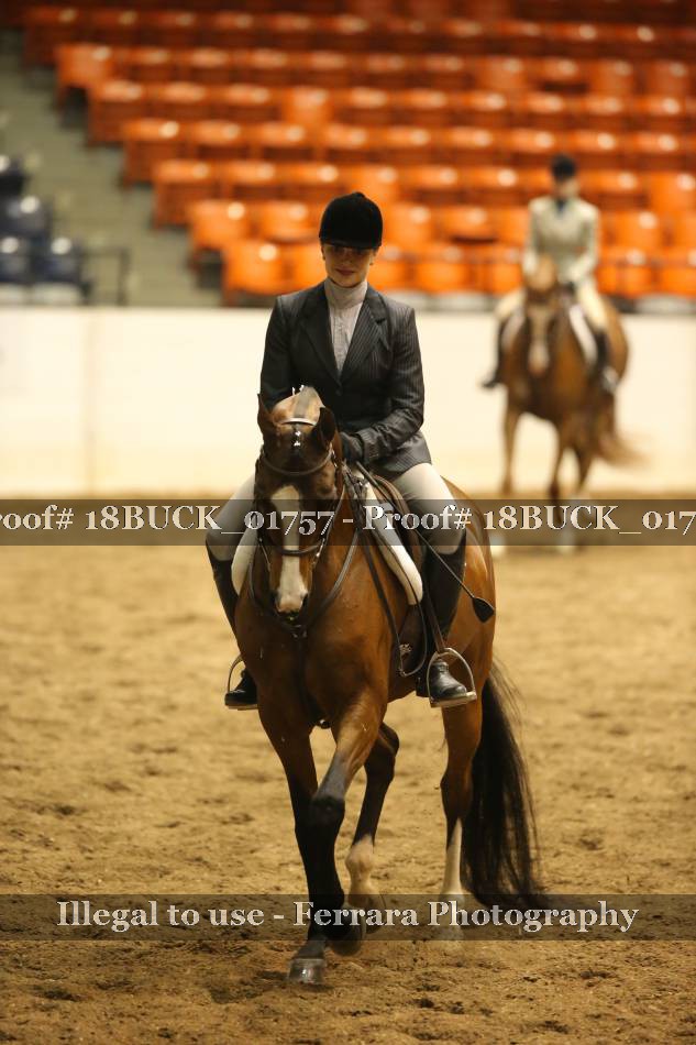 Proof 18BUCK_01757