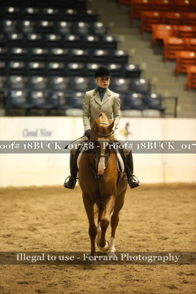 Proof 18BUCK_01758