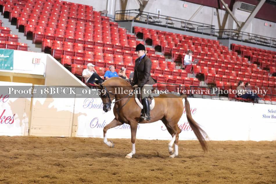 Proof 18BUCK_01759