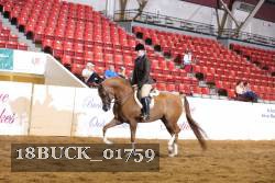 18BUCK_01759 proof