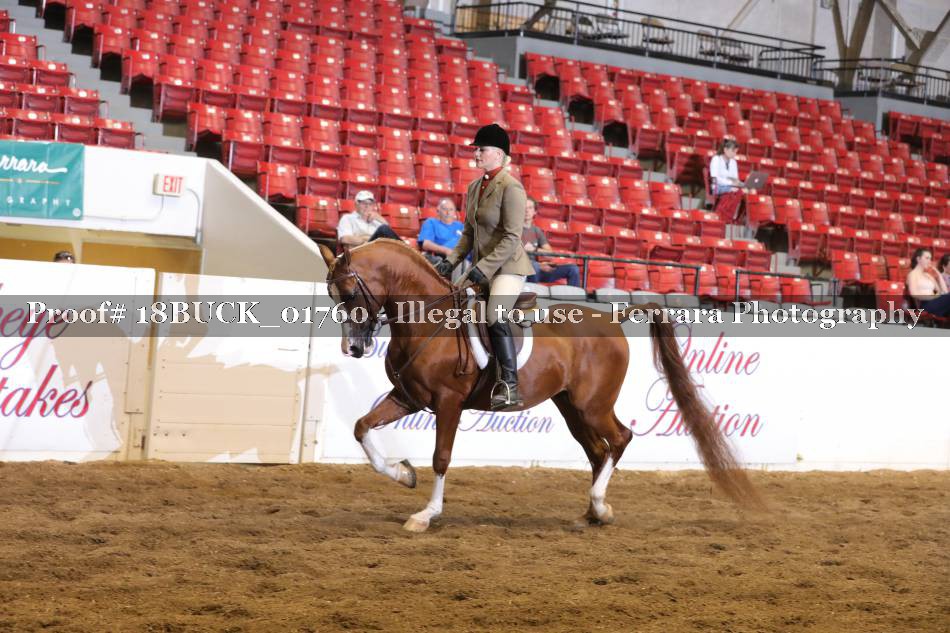 Proof 18BUCK_01760