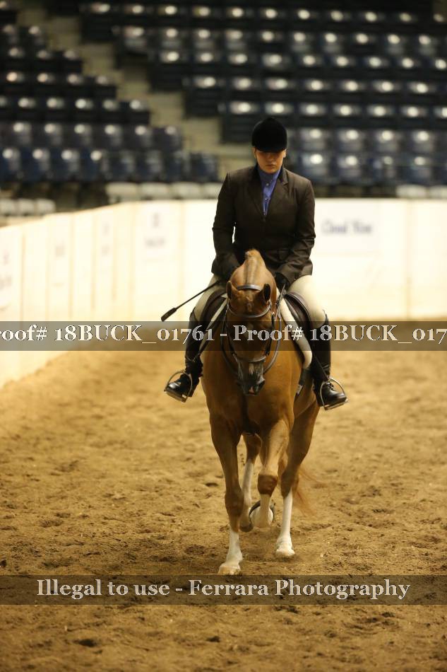 Proof 18BUCK_01761